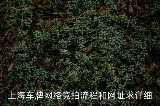 上海車牌網絡競拍流程和網址求詳細