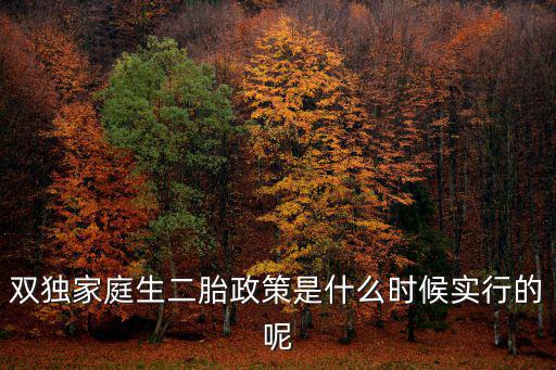 上海市雙獨政策何時實施，雙獨生二胎政策什么時候開始的