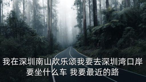 我在深圳南山歡樂頌我要去深圳灣口岸要坐什么車 我要最近的路