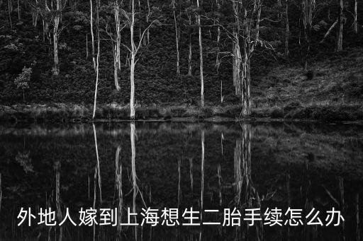 外地人嫁到上海想生二胎手續怎么辦