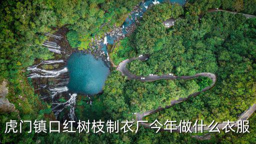 虎門鎮(zhèn)口紅樹枝制衣廠今年做什么衣服