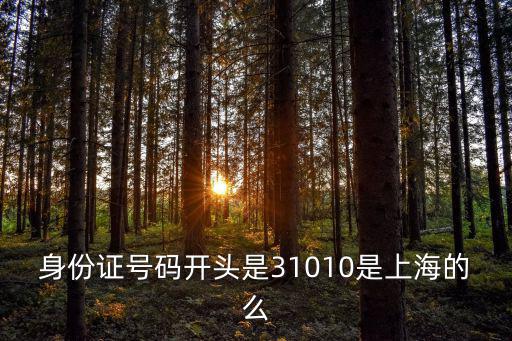 身份證號碼開頭是31010是上海的么