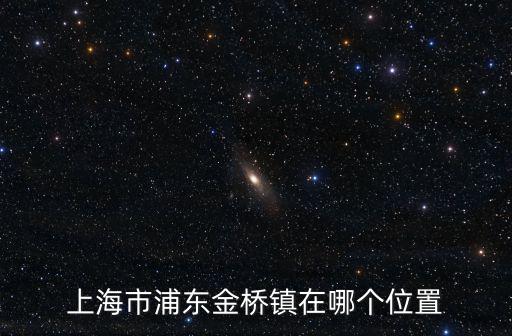 上海市浦東金橋鎮(zhèn)在哪個(gè)位置