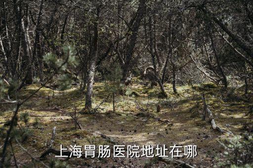 上海市楊浦區(qū)市東醫(yī)院腸道科，上海哪家胃腸科醫(yī)院最好是看胃腸哪里好長(zhǎng)期腸胃炎怎么辦專家