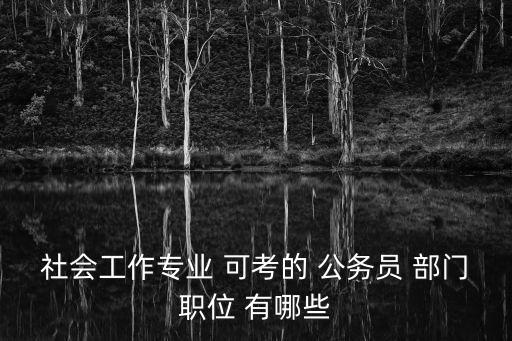 社會工作專業 可考的 公務員 部門職位 有哪些