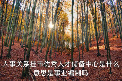 上海市優秀大學生人才儲備計劃，上211大學直接進入人才儲備了嗎