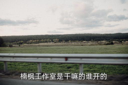 楠楓工作室是干嘛的誰開的