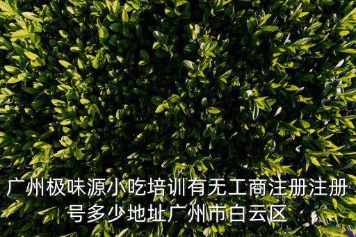 廣州極味源文化傳播有限公司，廣州動漫節由哪個公司承辦