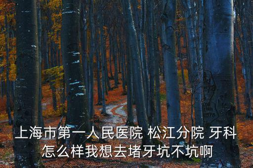 上海市松江區看牙科哪里，松江區口腔醫院哪一個最好 謝謝
