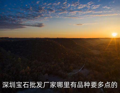深圳寶石批發(fā)廠家哪里有品種要多點(diǎn)的