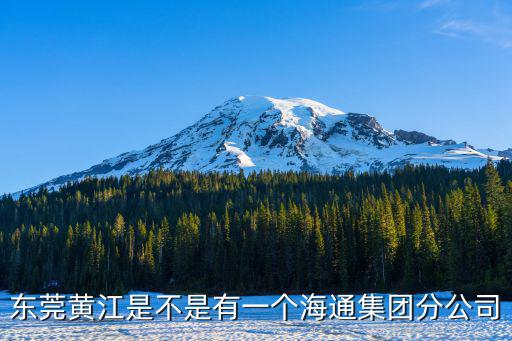 東莞黃江是不是有一個海通集團分公司