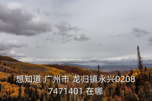 想知道 廣州市 龍歸鎮(zhèn)永興02087471401 在哪
