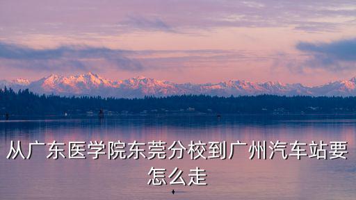從廣東醫(yī)學(xué)院東莞分校到廣州汽車站要怎么走