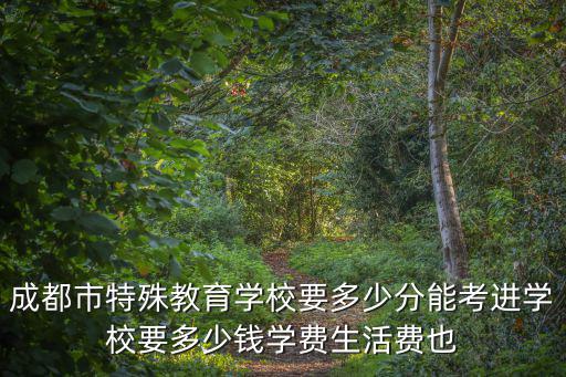 成都市特殊教育學(xué)校要多少分能考進(jìn)學(xué)校要多少錢學(xué)費(fèi)生活費(fèi)也