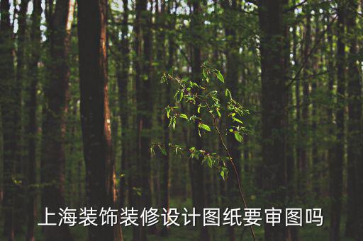 上海裝飾裝修設(shè)計圖紙要審圖嗎