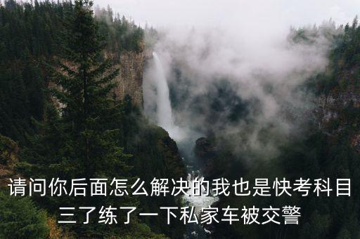 請問你后面怎么解決的我也是快考科目三了練了一下私家車被交警