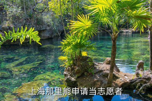 上海那里能申請當志愿者