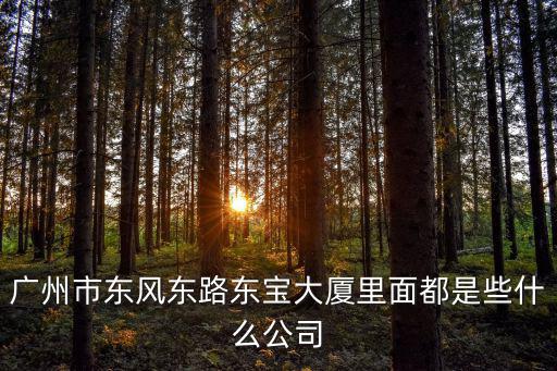 廣州市東風東路東寶大廈里面都是些什么公司