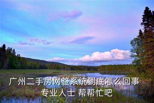 廣州二手房網簽系統到底怎么回事  專業人士 幫幫忙吧