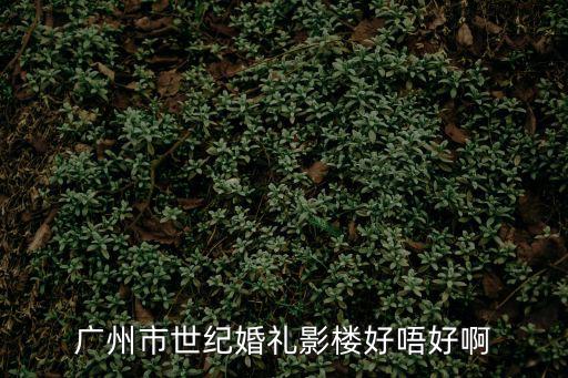 廣州市世紀婚禮影樓好唔好啊