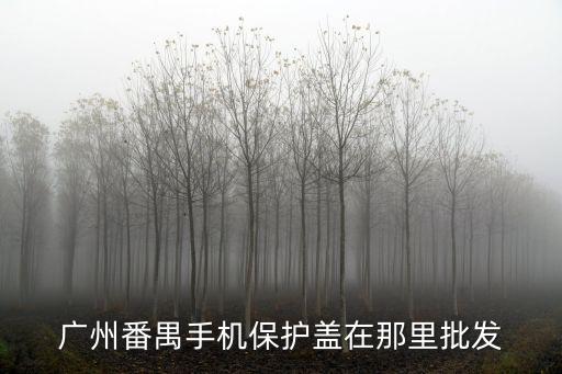廣州番禺手機(jī)保護(hù)蓋在那里批發(fā)