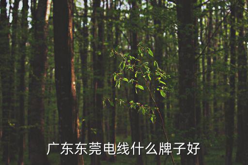 廣東東莞電線什么牌子好