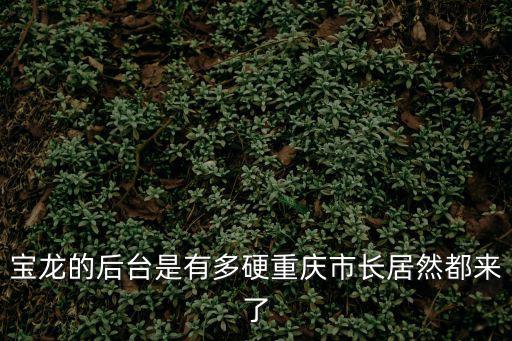 寶龍的后臺(tái)是有多硬重慶市長(zhǎng)居然都來(lái)了