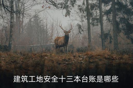 建筑工地安全十三本臺賬是哪些