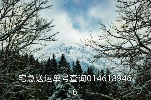 宅急送運(yùn)單號(hào)查詢0146189466