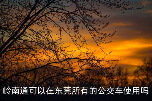 嶺南通可以在東莞所有的公交車使用嗎
