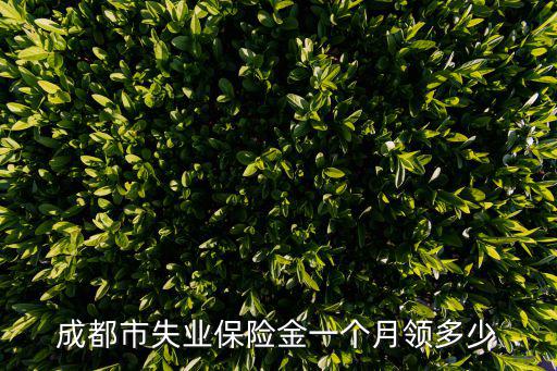 成都市失業(yè)保險金一個月領(lǐng)多少