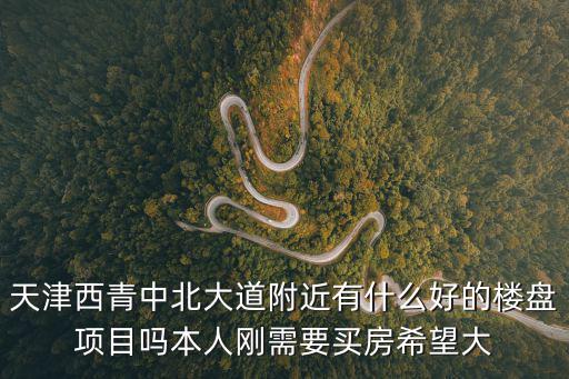 天津西青中北大道附近有什么好的樓盤項目嗎本人剛需要買房希望大