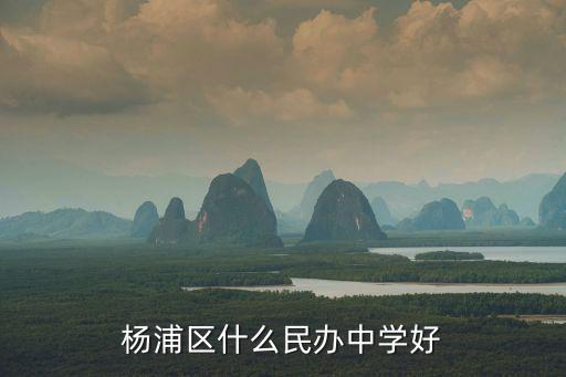 楊浦區(qū)什么民辦中學好