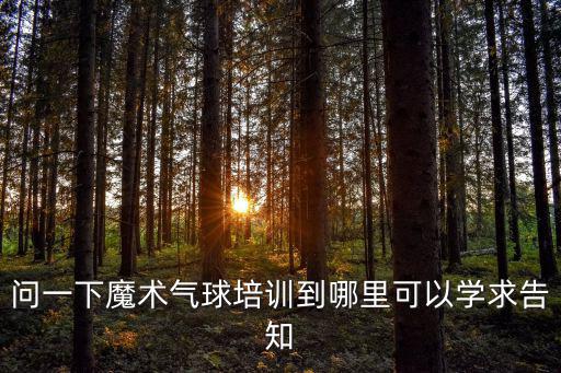 問一下魔術氣球培訓到哪里可以學求告知