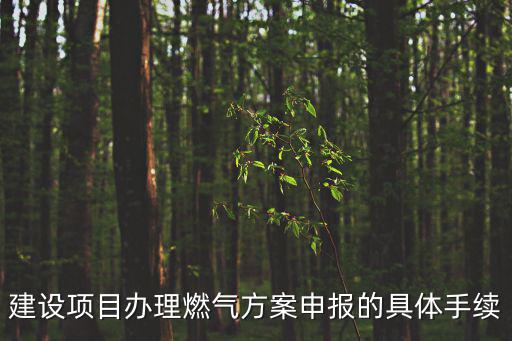 成都市天然氣申報800方，成都天燃氣通氣申請開通需要哪些資料