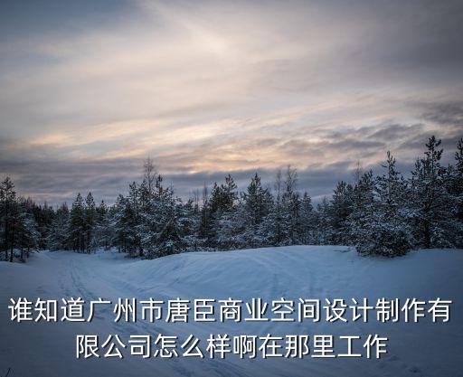 誰知道廣州市唐臣商業空間設計制作有限公司怎么樣啊在那里工作