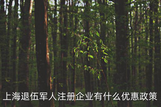 上海市退伍軍人創業，上海市對退伍軍人創業貸款有何優惠政策