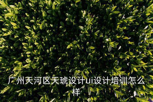 廣州天河區天琥設計ui設計培訓怎么樣