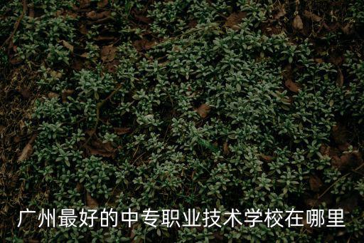 廣州最好的中專職業技術學校在哪里