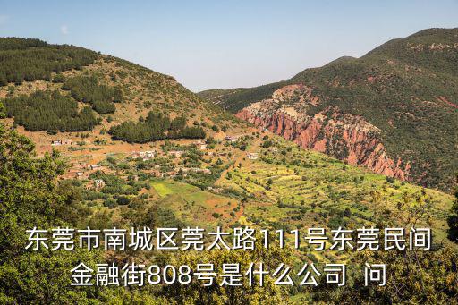 東莞市南城區(qū)莞太路111號東莞民間金融街808號是什么公司  問