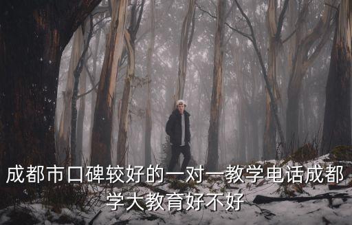 成都市口碑較好的一對(duì)一教學(xué)電話成都學(xué)大教育好不好