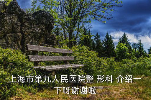 上海市第九人民醫院整 形科 介紹一下呀謝謝啦