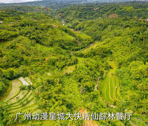 廣州動(dòng)漫星城大快活仙蹤林餐廳