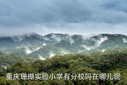 重慶珊瑚實驗小學有分校嗎在哪兒呢