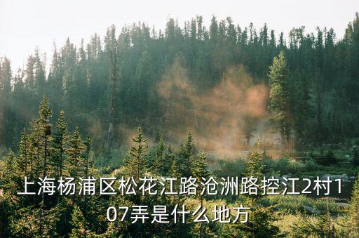 上海楊浦區(qū)松花江路滄洲路控江2村107弄是什么地方