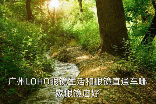 深圳loho 大眾眼睛 哪家更便宜，深圳寶安沙井哪里配眼鏡又好又便宜