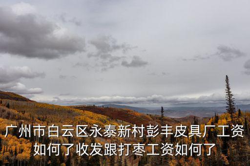 廣州市白云區(qū)永泰新村彭豐皮具廠工資如何了收發(fā)跟打棗工資如何了