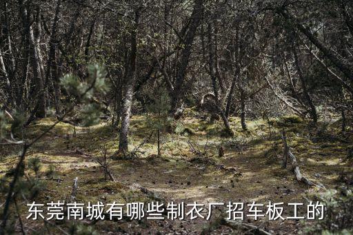 東莞南城有哪些制衣廠招車板工的
