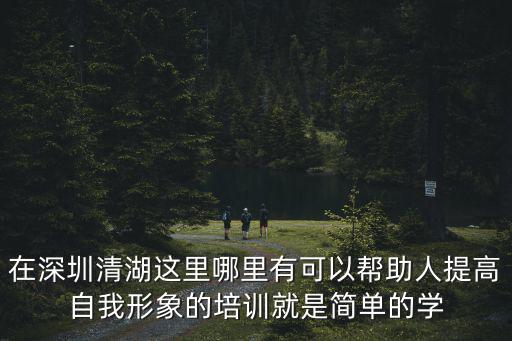 深圳個人形象設(shè)計課程，在深圳清湖這里哪里有可以幫助人提高自我形象的培訓(xùn)就是簡單的學(xué)