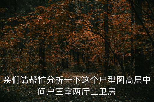 深圳中央悅城戶型圖，親們請幫忙分析一下這個戶型圖高層中間戶三室兩廳二衛(wèi)房